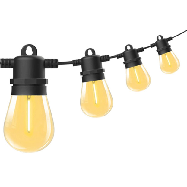 10 Bulbs 14m Festoon String Lights