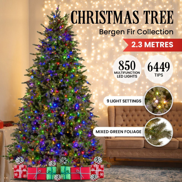Bergen Fir 7.5ft Multicolour Pre-Lit Christmas Tree