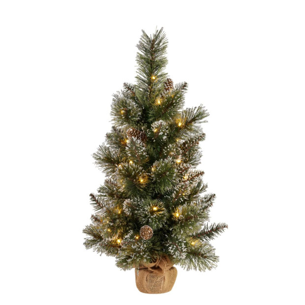 2ft Christmas Tree with Lights - Potted Cashmere
