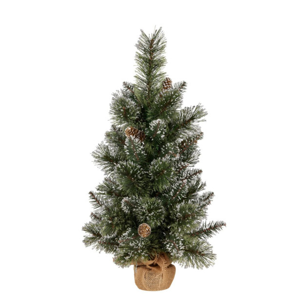 2ft Christmas Tree with Lights - Potted Cashmere Image 2