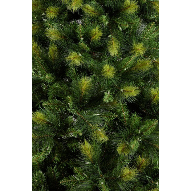 7.5ft Christmas Tree with Lights - Eastern Pine Image 4