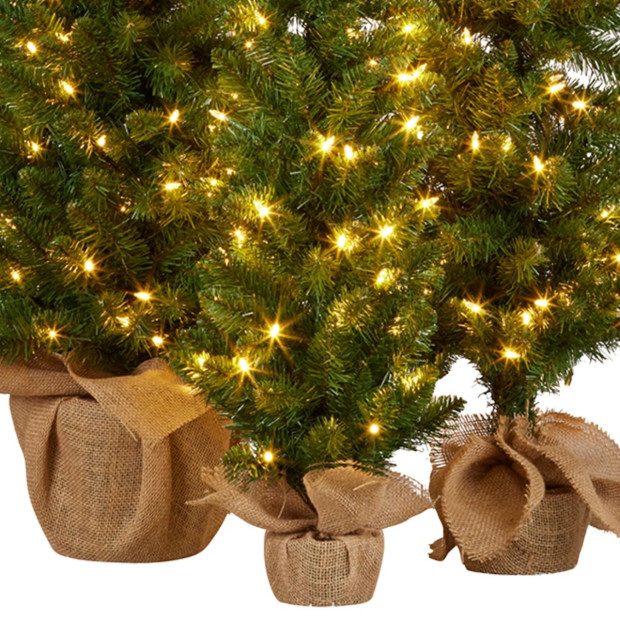 Christabelle Green Pine Christmas Trees Set of 3 with LED Lights & Hessian Base Image 5