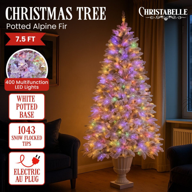 Christabelle 2.3m Christmas Tree Potted Alpine Fir with Pre Lit Multi-Colour LED Lights Image 10