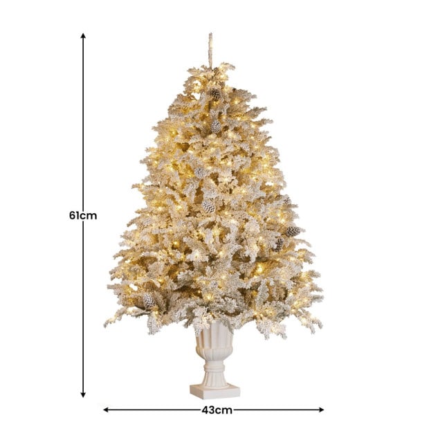 Christabelle 2.3m Christmas Tree Potted Alpine Fir with Pre Lit Multi-Colour LED Lights Image 2