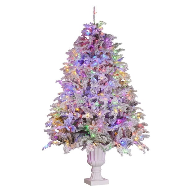 Christabelle 2.3m Christmas Tree Potted Alpine Fir with Pre Lit Multi-Colour LED Lights Image 3