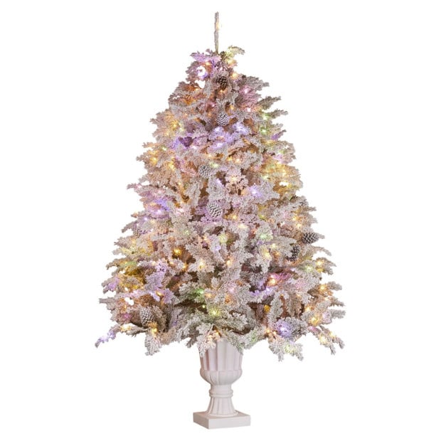 Christabelle 2.3m Christmas Tree Potted Alpine Fir with Pre Lit Multi-Colour LED Lights Image 4