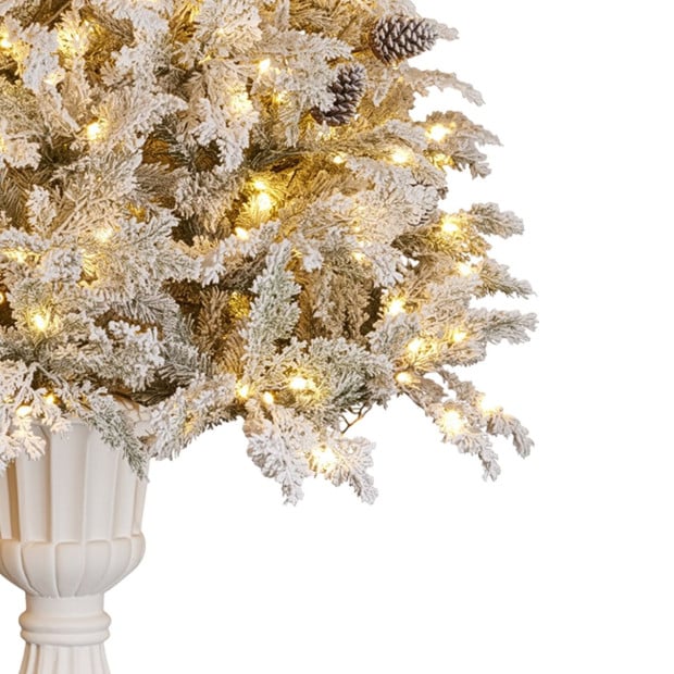 Christabelle 2.3m Christmas Tree Potted Alpine Fir with Pre Lit Multi-Colour LED Lights Image 7