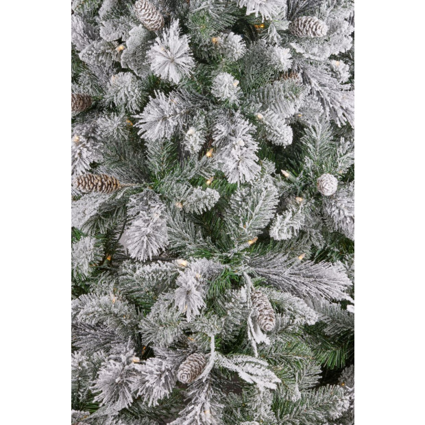 7.5ft Christmas Tree with Lights- Wesley Pine Image 4
