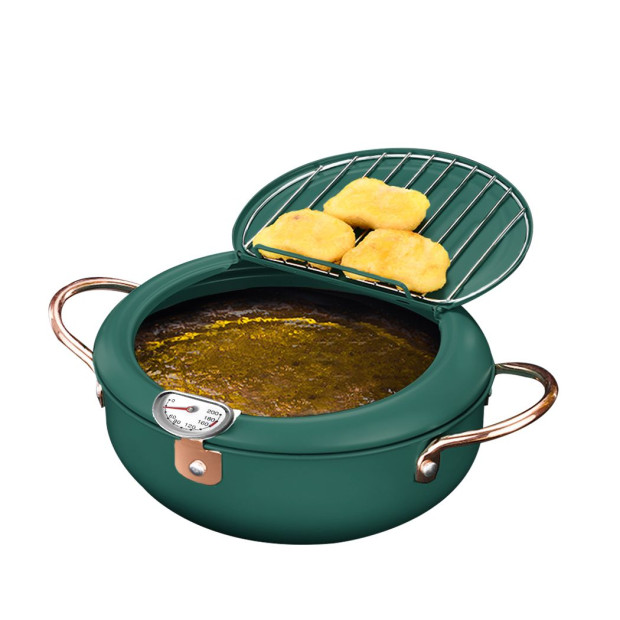 Deep Frying Pot Non-stick 24cm Tempura Fryer Pan Stainless Steel Green