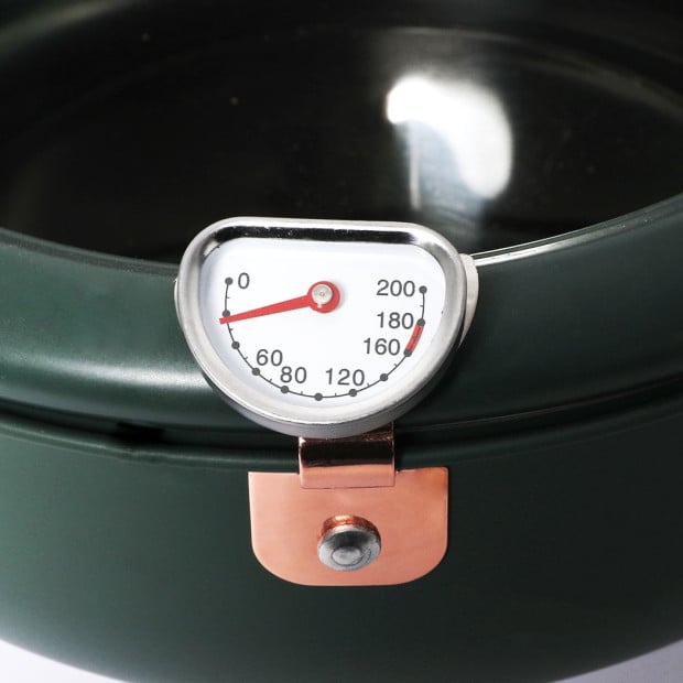 Deep Frying Pot Non-stick 24cm Tempura Fryer Pan Stainless Steel Green Image 4