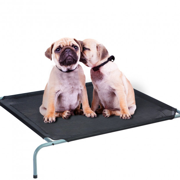 Pawz Pet Bed Trampoline With Heavy Duty Frame M