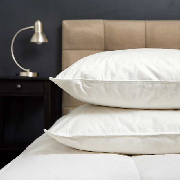 Goose Feather & Down Quilt Pillows 2 Pack Combo - Single - White Image 2