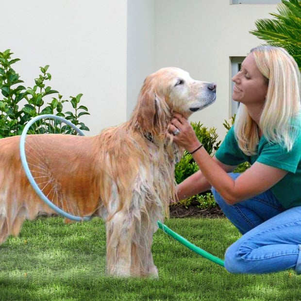 Pet Washer 360 Dog Cat Shower Hair Clean Kit Household Easy Tool Image 7