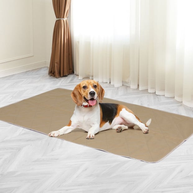 4 Pcs 70x80 cm Reusable Waterproof Pet Puppy Toilet Training Pads XL Image 7