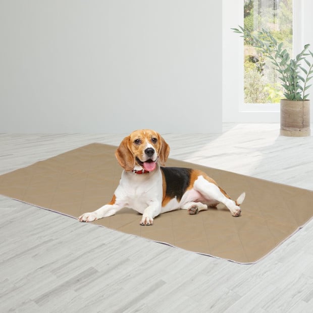 4 Pcs 70x80 cm Reusable Waterproof Pet Puppy Toilet Training Pads XL Image 8