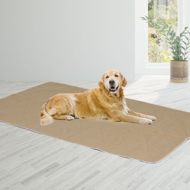 4 Pcs 120x120 cm Reusable Waterproof Pet Puppy Toilet Training Pads Image 8