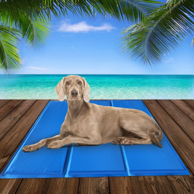 Pet Cooling Mat Gel Mat Bed Cool Pad Non-Toxic Summer - 90cm x 50cm Image 7