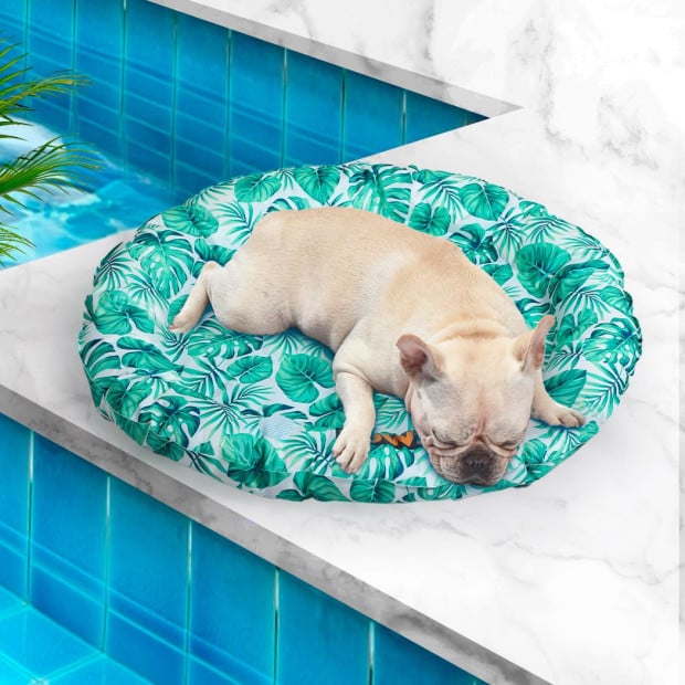 Pet Cool Gel Mat Bed Dog Bolster Waterproof Self-cooling Pads Medium Image 8