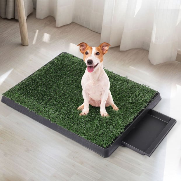 Grass Potty Dog Pad Training Pet Puppy Indoor Toilet Trainer Medium Image 7