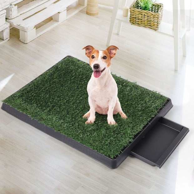 Grass Potty Dog Pad Training Pet Puppy Indoor Toilet Trainer Medium Image 6