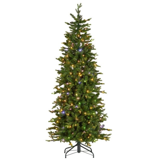 National Tree Company 6ft Slim Carrington Fir Christmas Tree Image 5