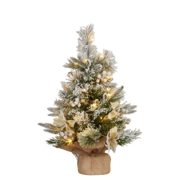 2ft Christmas Tree with Lights- Potted Frosted Colonial