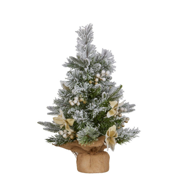 2ft Christmas Tree with Lights- Potted Frosted Colonial Image 2