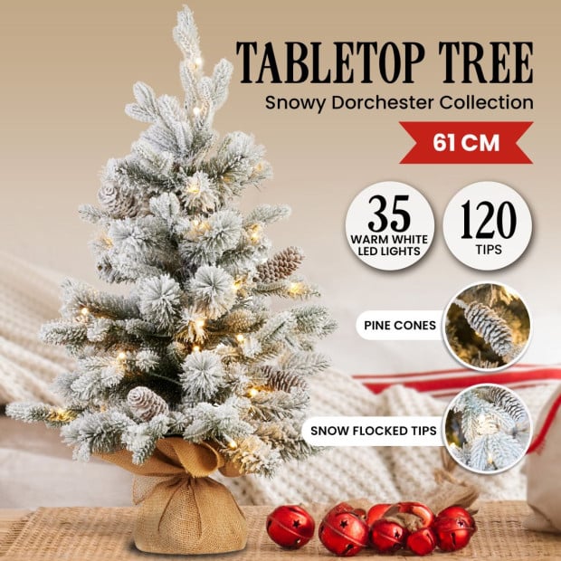 National Tree Company 61cm Snowy Dorchester Prelit Tabletop Christmas Tree