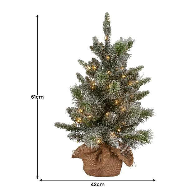 National Tree Company 61cm Battery-Operated Christmas Tree - Snowy Stamford Spruce Image 3