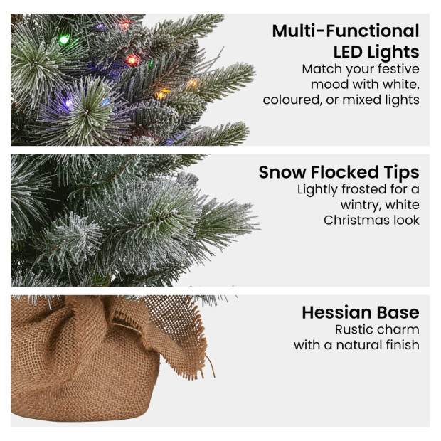 National Tree Company 61cm Battery-Operated Christmas Tree - Snowy Stamford Spruce Image 6