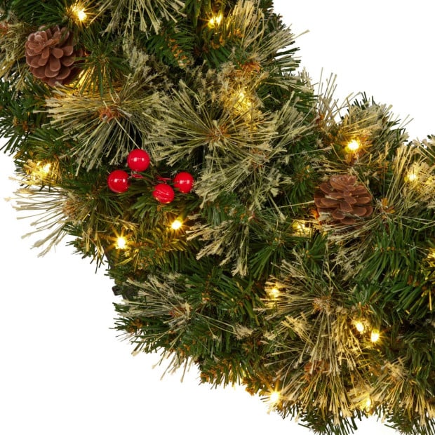 Bristle Berry Christmas Wreath 61cm with Multi Functions Lights Image 6