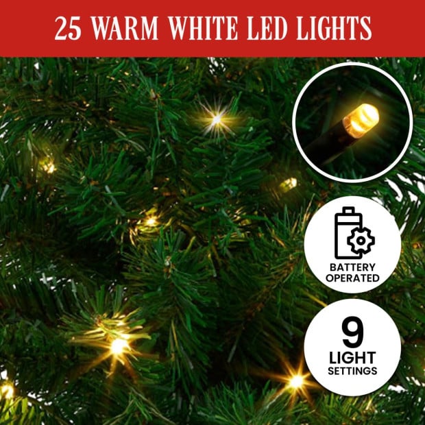 61cm Chadwick Green Pre-Lit Tabletop Christmas Tree Image 6