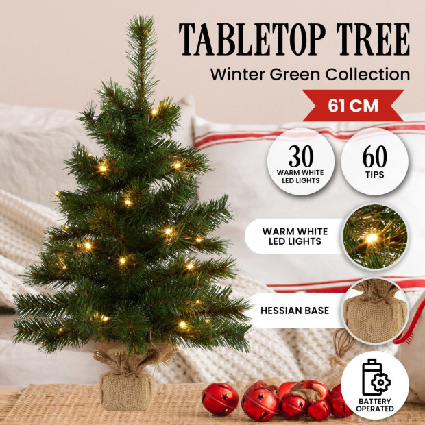 61cm Wintergreen Pre-Lit Tabletop Christmas Tree
