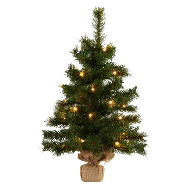 61cm Wintergreen Pre-Lit Tabletop Christmas Tree Image 3