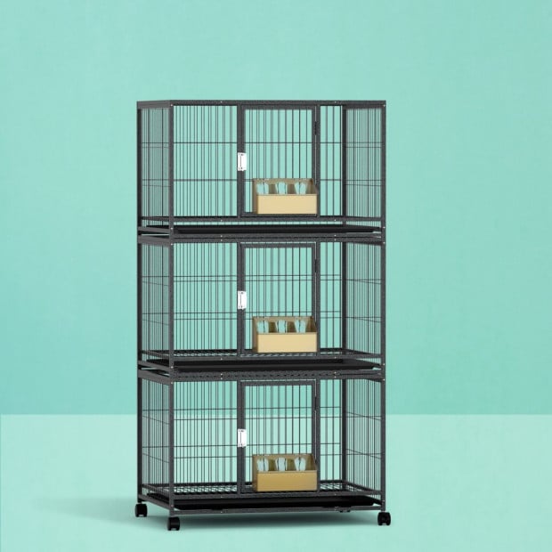 Bird Cage Aviary Budgie Perch Parrot Pet Stand Wheels Image 7