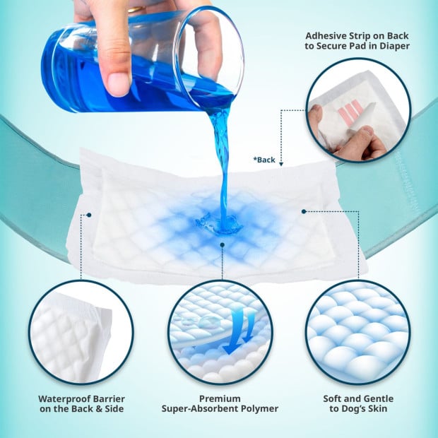 M Dog Male Wrap + 10x M Diaper Booster Pads Image 5