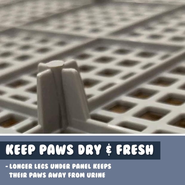 Pet Potty Tray Raised Walls T1 - Blue Image 5