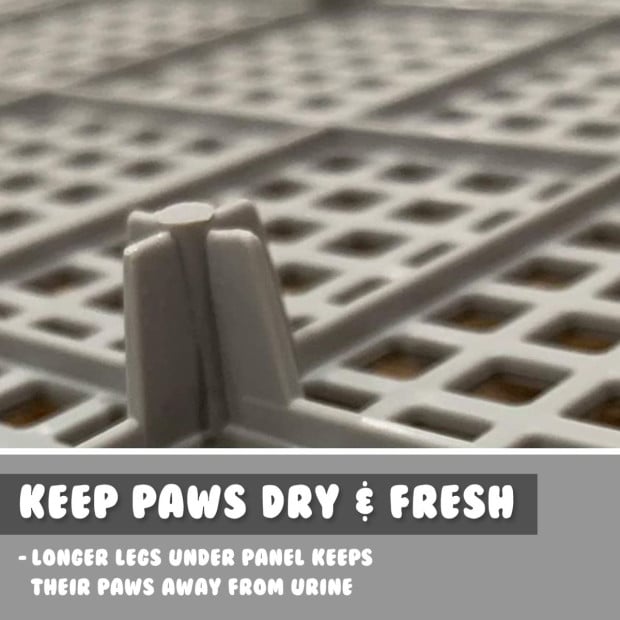 Pet Potty Tray Raised Walls T1 - Grey Image 6