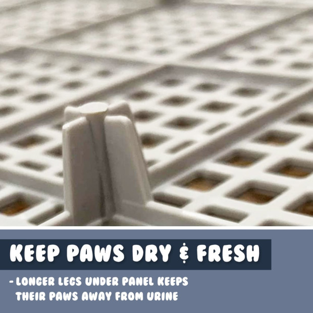 Pet Potty Tray T3 - Blue Image 3