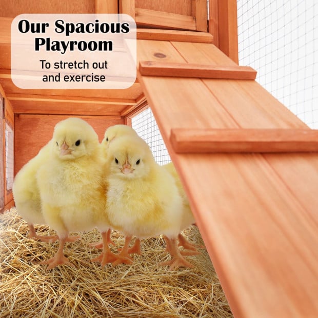 2 Storey Rabbit Hutch Mansion Image 6