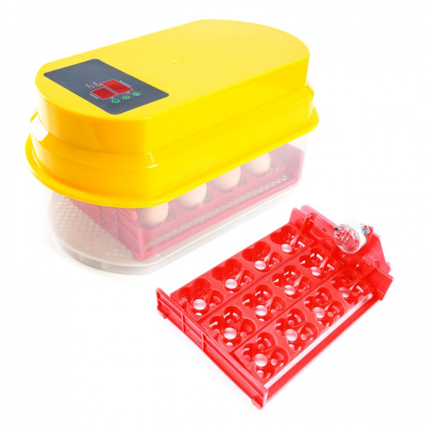 Digital Egg Incubator - 12 Eggs