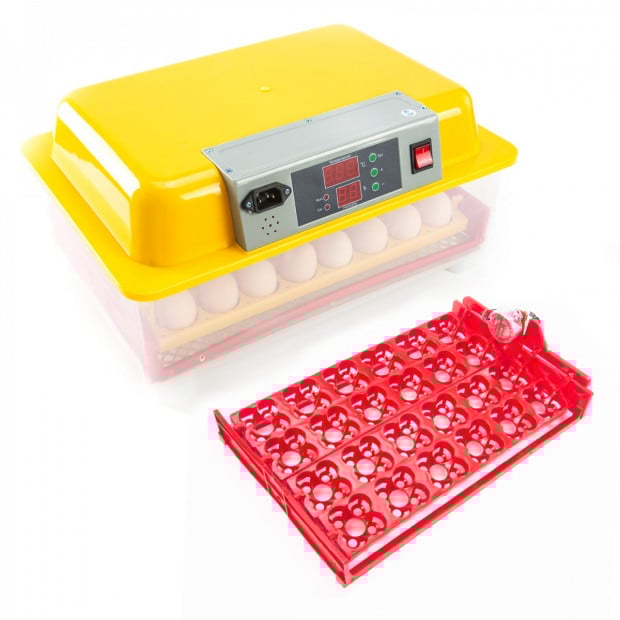 Digital Egg Incubator - 24 Eggs
