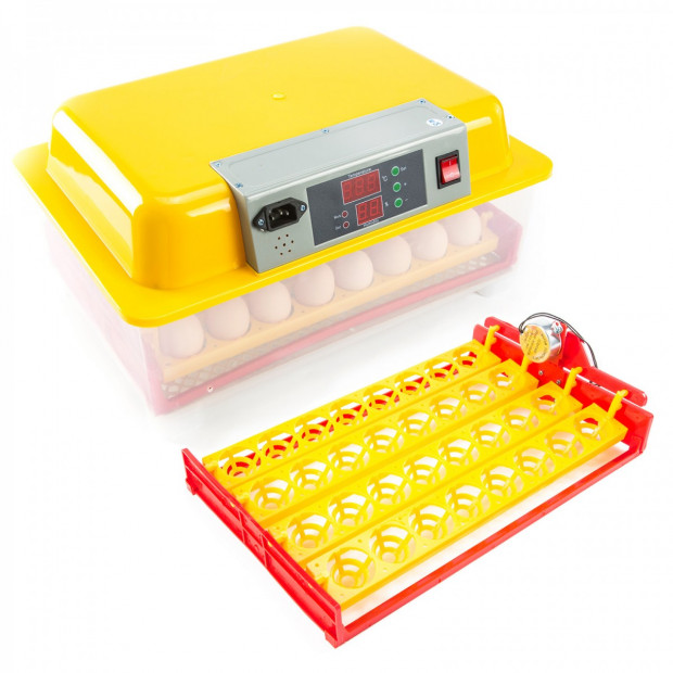 Digital Egg Incubator - 32 Eggs