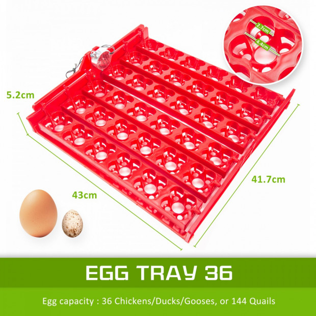 Digital Egg Incubator - 36 Eggs Image 2