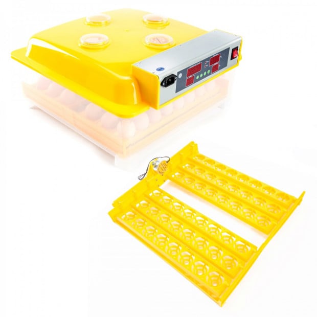 Digital Egg Incubator - 48 Eggs