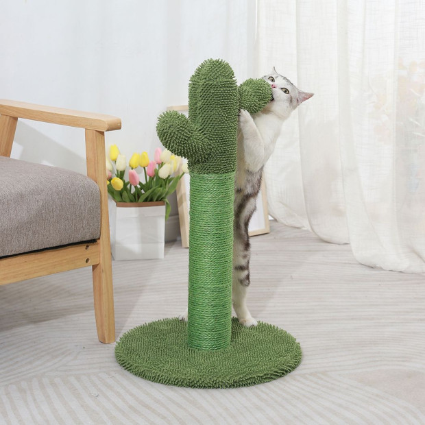 Cactus Cat Scratching Posts Pole Tree Kitten Climbing Scratcher Image 7