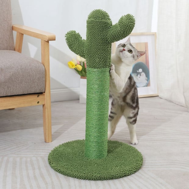 Cactus Cat Scratching Posts Pole Tree Kitten Climbing Scratcher Image 8