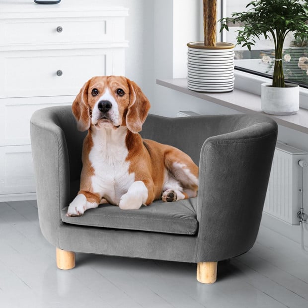 Luxury Elevated Sofa Anti-slip Raised Dog Cat Beds Couch Kitten Lounge Image 8