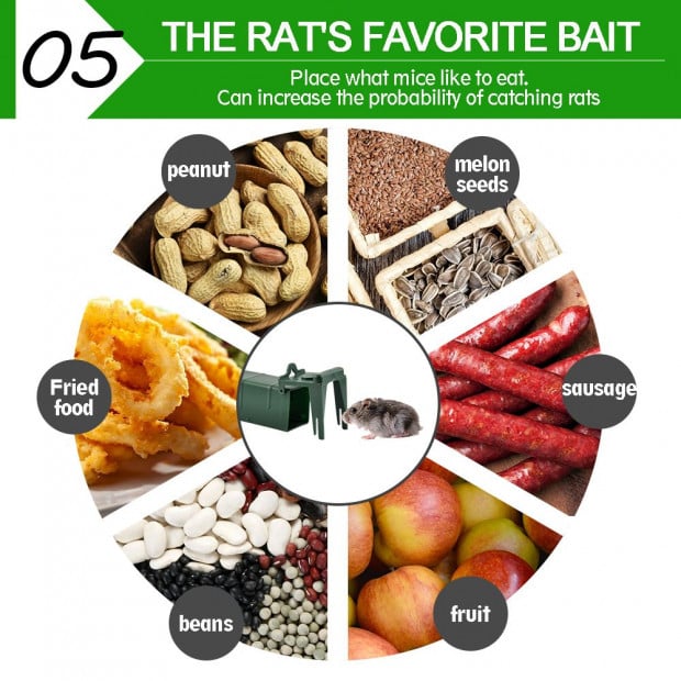 4 Green Mouse Rat Mice Trap Live Capture Safe Reusable Image 6