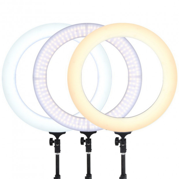 19 Inch LED Ring Light - Black Image 5